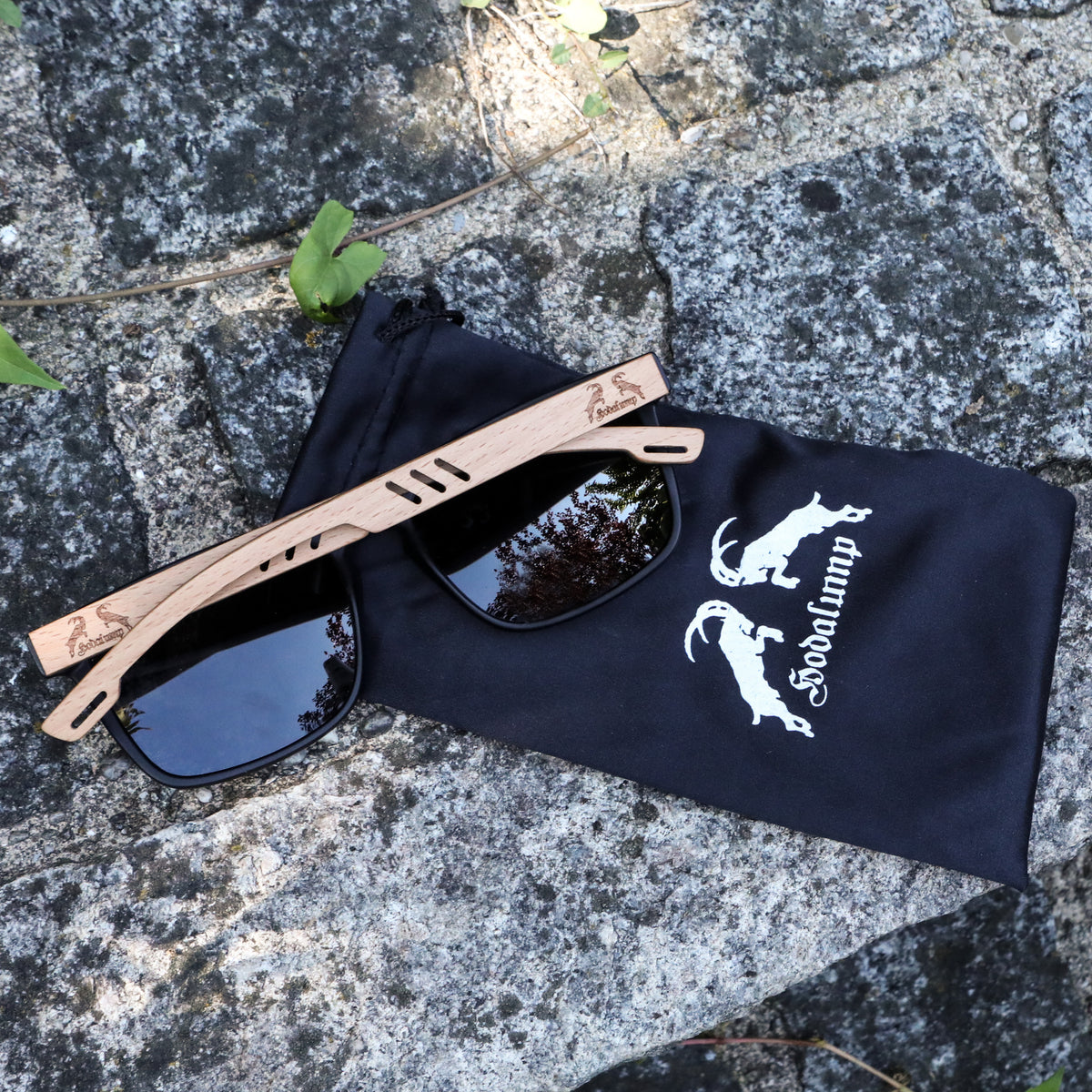 Hodalump Sonnenbrille, Ansicht 5
