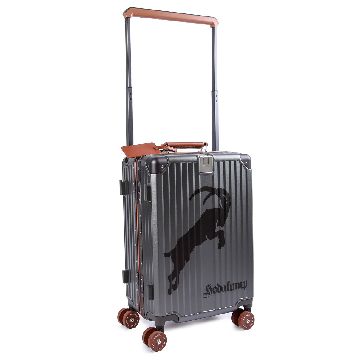 Trolley da cabina Hodalump, vista 7