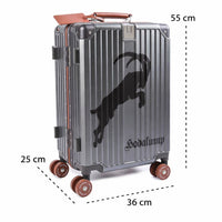 Trolley da cabina Hodalump, vista 22